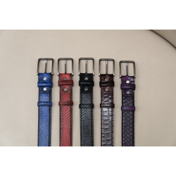 BELTS V1 0